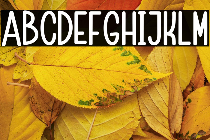 ChildaSans-Bold Example 3