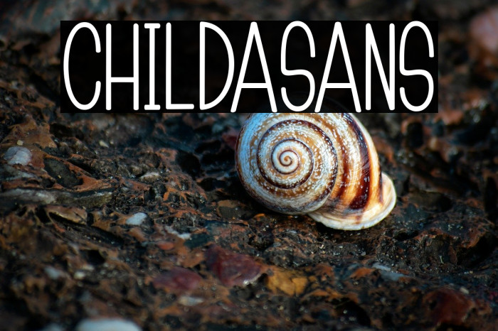 ChildaSans Example 1