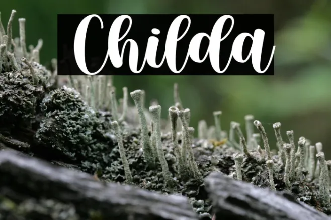 Childa Example 3