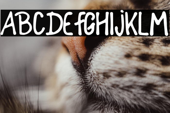 Childemperor Example 3