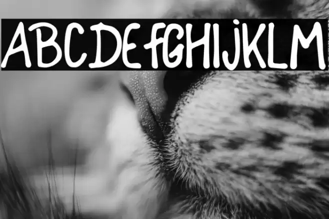 Childemperor Font examples