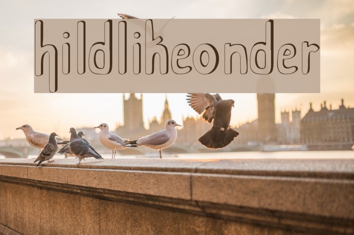 Childlike Wonder Font examples