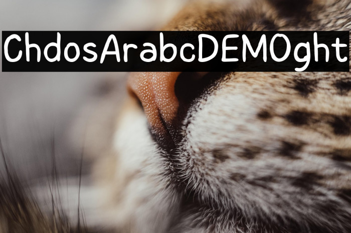 Childos Arabic DEMO Light Example 3