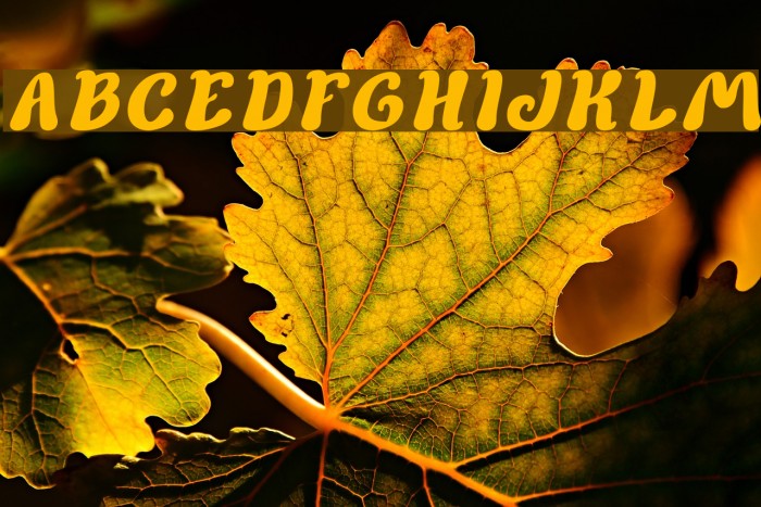 Children Stories Bold Italic Example 1