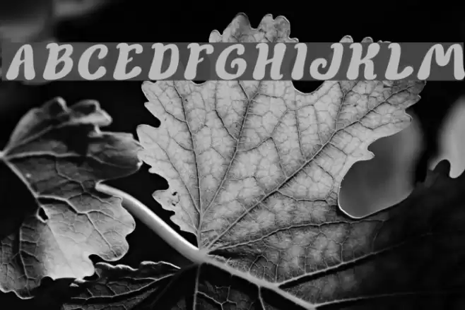 Children Stories Bold Italic Font examples