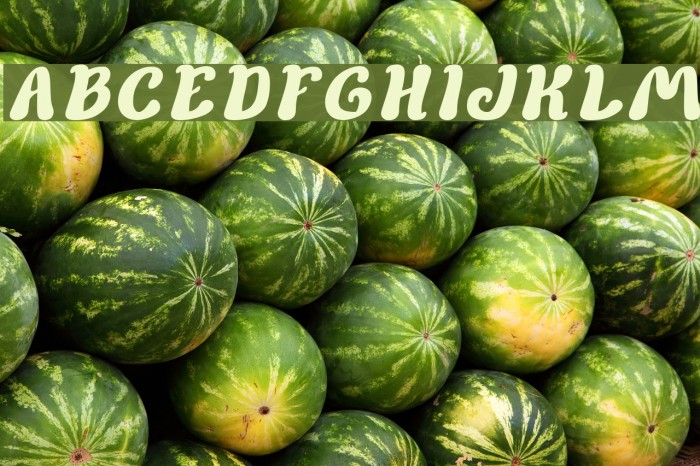 Children Stories Italic Font examples