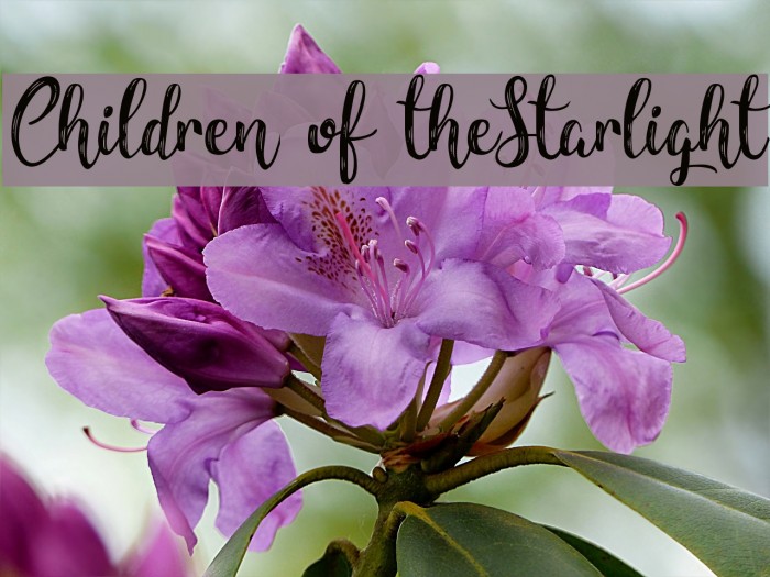 Children of theStarlight Font examples