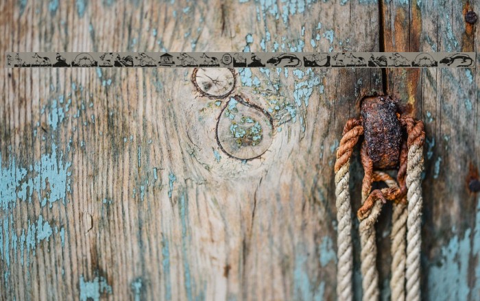 ChildrenAnimalsFriends Example 1