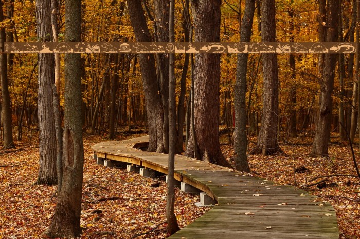 ChildrenAnimalsFriends Example 2