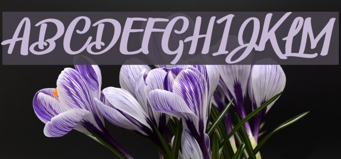Childrens Party Personal Use Regular Font examples