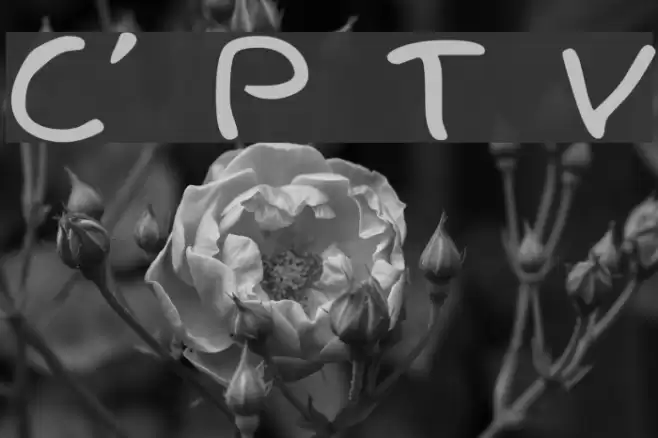 Child's Play Trial Version Fonte examples