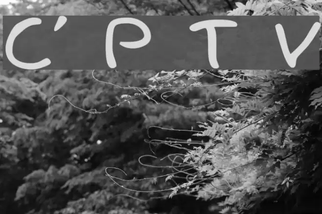 Child's Play Trial Version Fonte examples