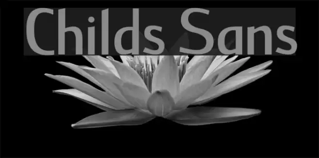 Childs Sans Font examples