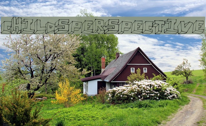 ChildsPerspective Example 2