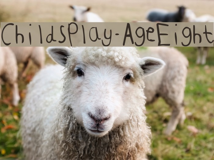 ChildsPlay-AgeEight Font examples