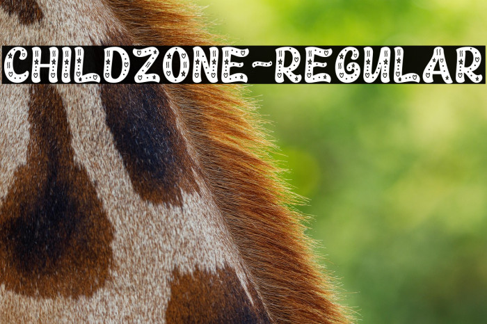 Childzone-Regular Example 2
