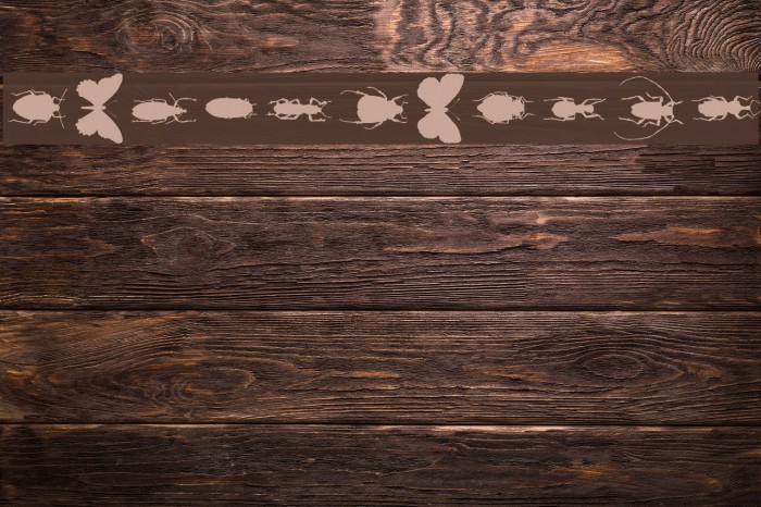 ChileanBugs Example 1