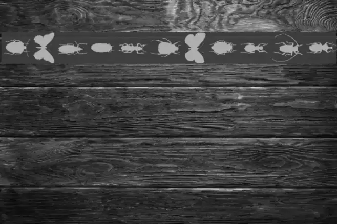 ChileanBugs Font examples