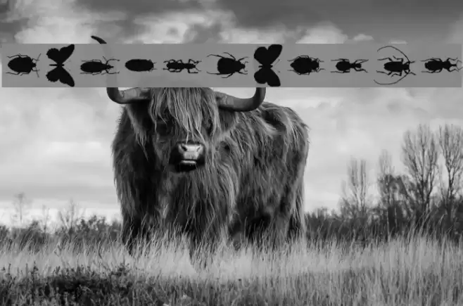 ChileanBugs Font examples