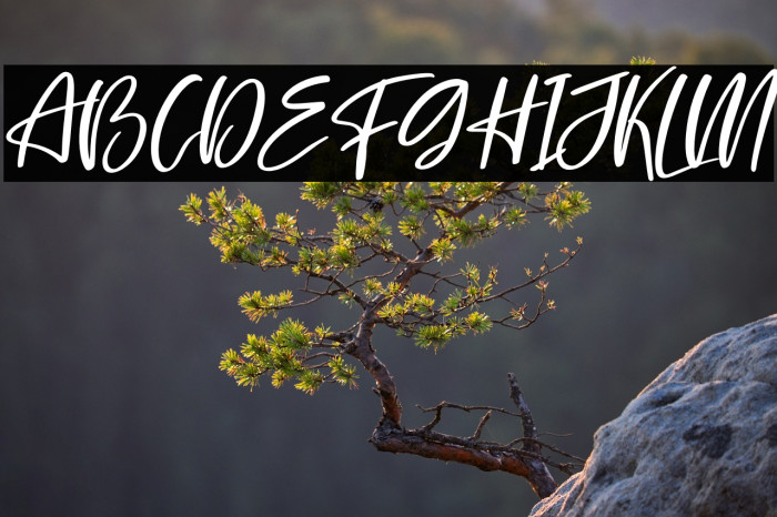 Chilhood Italic Example 3