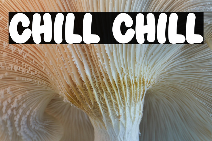 Chill Chill Example 1