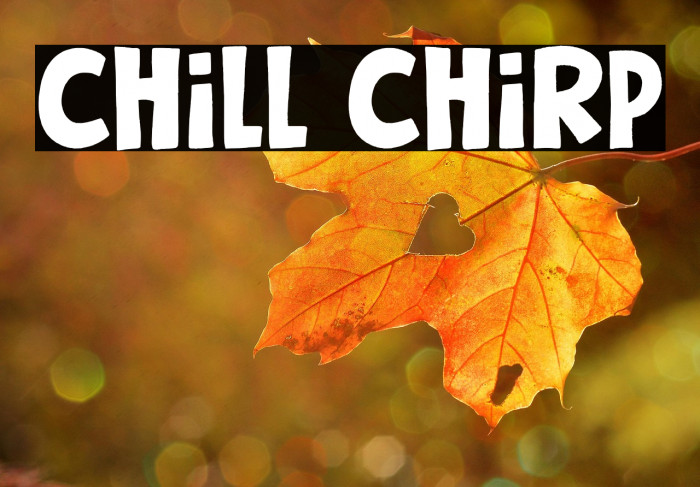 Chill Chirp Example 1