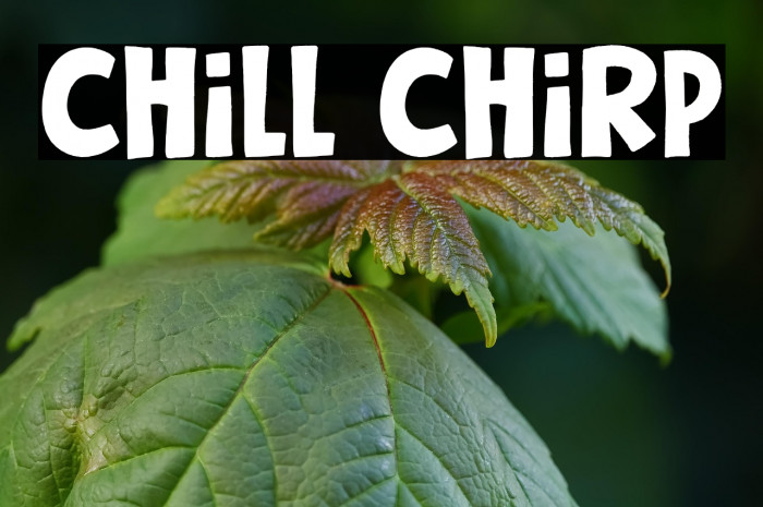 Chill Chirp Example 3