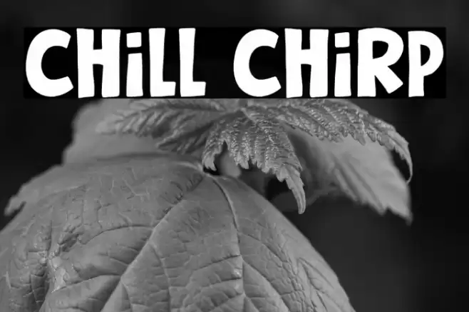 Chill Chirp Fuentes examples