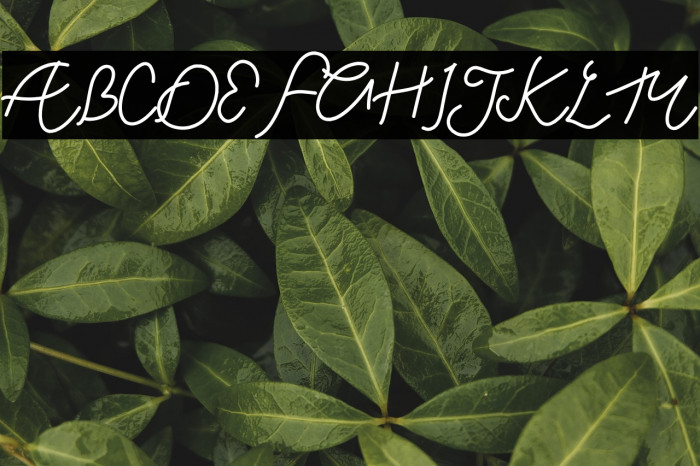 Chill Friend Demo Example 2