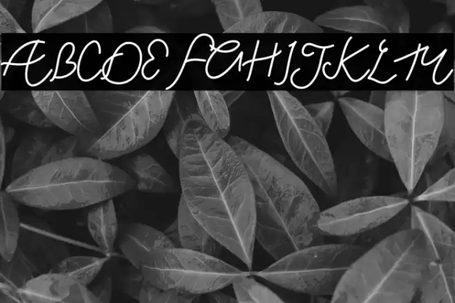 Chill Friend Demo Font examples