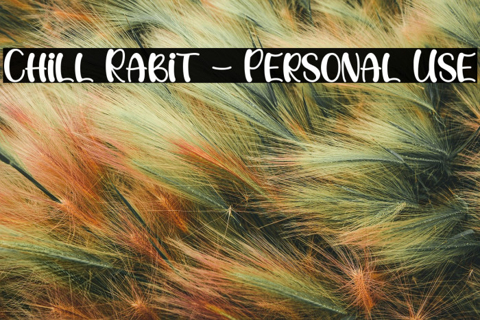 Chill Rabit - Personal Use Example 2