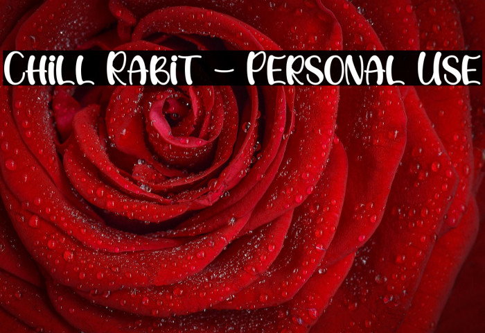 Chill Rabit - Personal Use Example 3