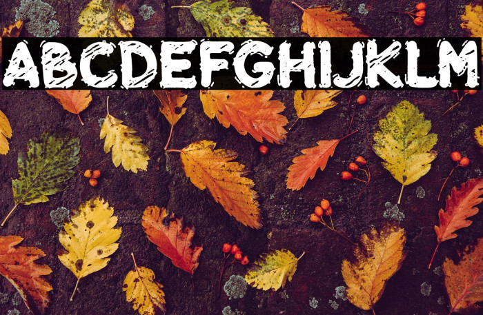 Chill-out Gang Example 1