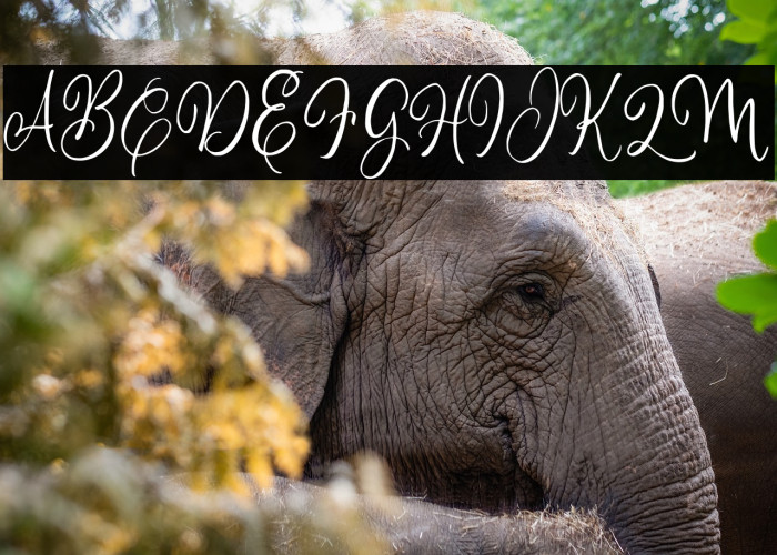 ChilldayDEMO Example 3