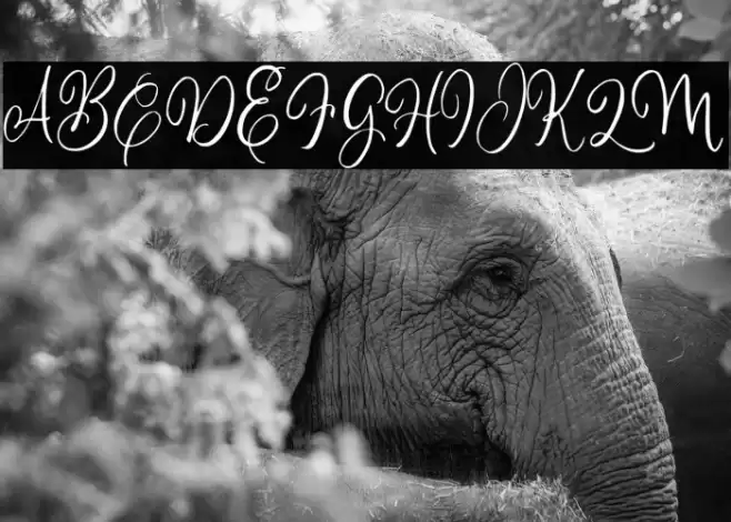 ChilldayDEMO Font examples