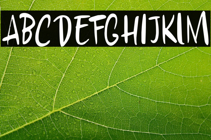 Chillerz DEMO Regular Example 1