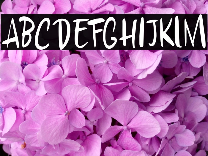 Chillerz DEMO Regular Example 2