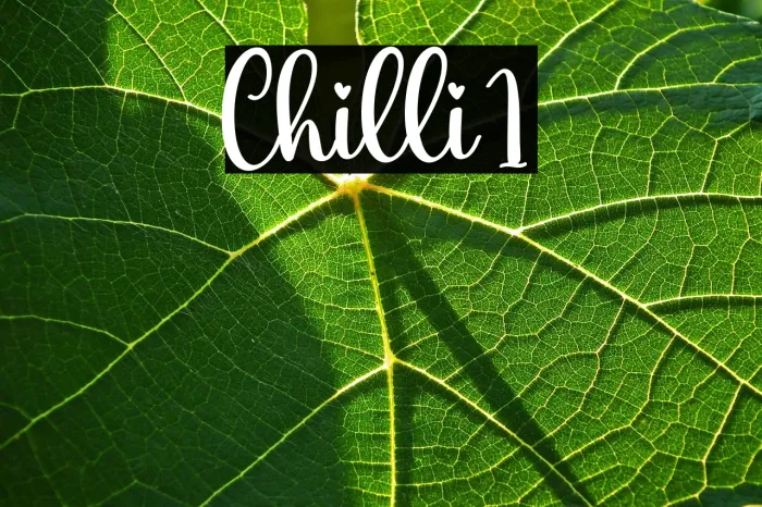 Chilli1 Example 1