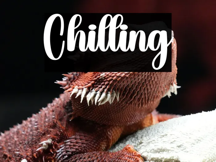 Chilling Example 2