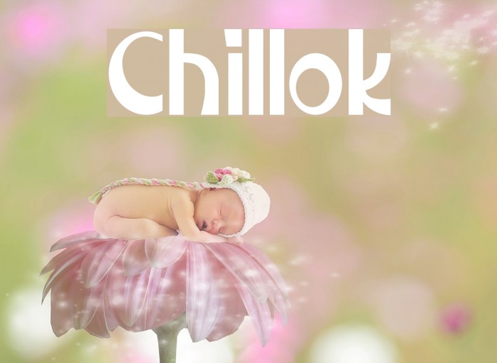 Chillok Font examples