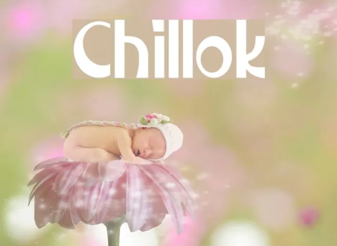 Chillok Example 2