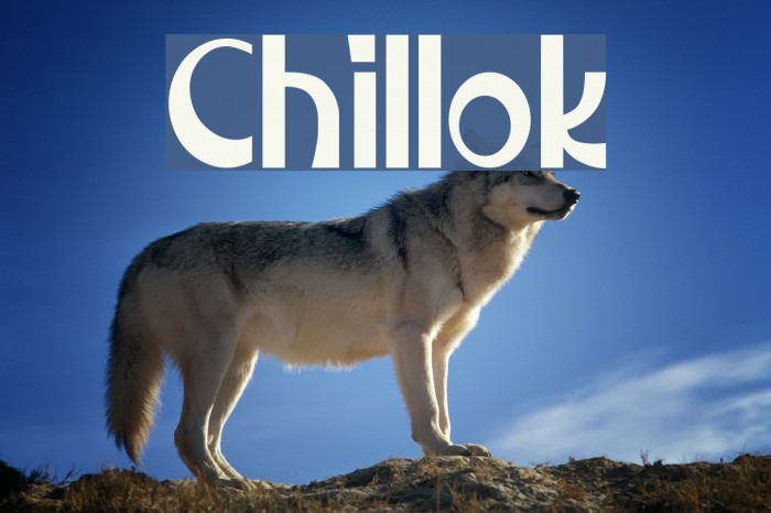 Chillok Font examples