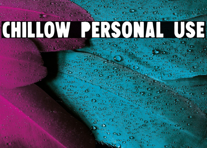 Chillow Personal Use Example 3