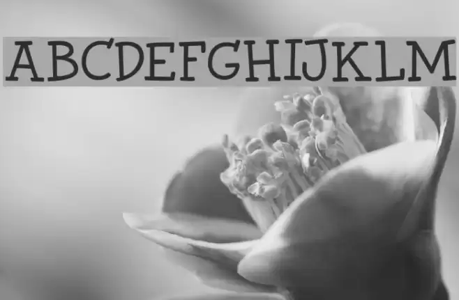 Chilly Cherry DEMO Regular Font examples