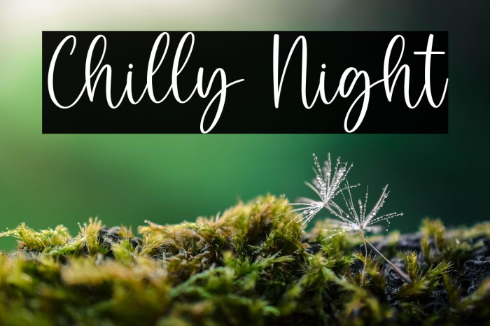 Chilly Night Example 1