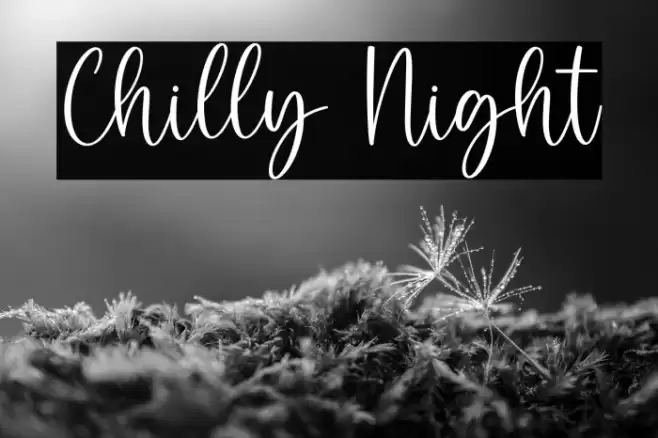 Chilly Night Caratteri examples