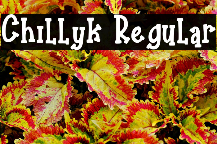 Chillyk Regular Example 1