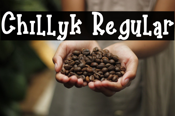 Chillyk Regular Example 2