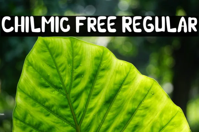 Chilmic Free Regular Example 3