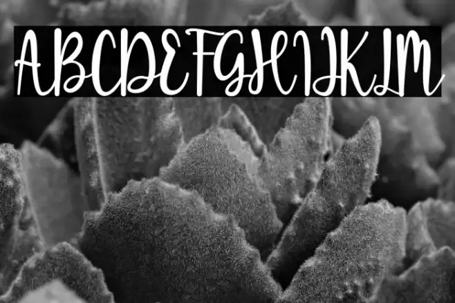 Chilwell Font examples